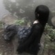 Soggy and it s the remix so It s different but also still Soggy EP