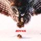 BOYKA Single