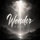 Wonder feat Ruelle Single
