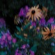 Teardrops N Croptops feat Strgurrl Single