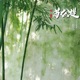 苏公堤 2026新版 Single