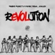Revolution Single