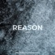 Reason Acoustic Single