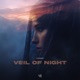 Veil of Night Single