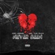 Never Been feat Vee Tha Rula Single