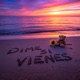 Dime Si Vienes Single