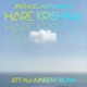 Hare Krishna Jeff Ali Ambient Remix Single