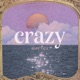 Crazy Single