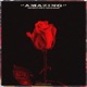 Amazing Single