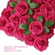 Fuchsia feat Bigallstar Fridayy Single