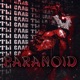 Paranoid Single