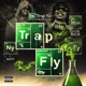 Trap Fly