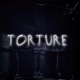 Torture Single