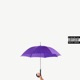 Umbrella Single