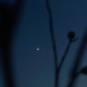 unfurl Single