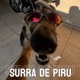 Toma surra de piru Single