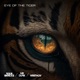 Eye Of The Tiger Single