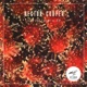 Solid Jackin EP