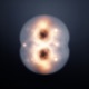 MITOSIS