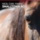 Smalltown Boy Single