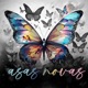 Asas Novas Acoustic Single