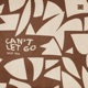 Can t Let Go Single