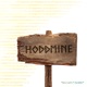 Hoddmine Single
