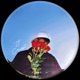 21 Vol 1 EP