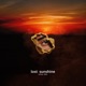 Lost Sunshine Single