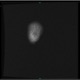 Sid Vicious MRI Version MRI Version Single