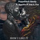 How I like It Single feat Sparkle Jess A Fox Single