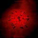 Te am sunat Alternative Versions Single