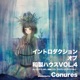 イントロダクション オブ 和製ハウス vol 4