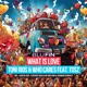 What Is Love feat Tosz Remixes EP