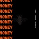 Honey feat Cashxmoney Jayyrollaa Single
