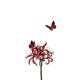 Lycoris EP