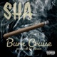 Burn Cruise Single