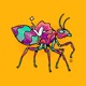 Ants in Pants Single