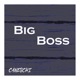 Big Boss Single