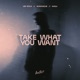 Take What You Want Single