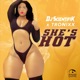 She s hot feat DJ Scientifik Single