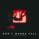 Don t Wanna Fall Single