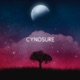 Cynosure