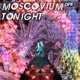 Tonight Single