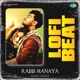 Rabb Manaya Lofi Beat Single