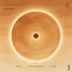 A Shaman s Dream Dvniel Remix Single