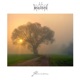 Flimmern EP