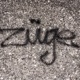 züge Single
