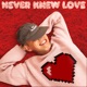 Never Knew Love feat Enisa Extended Single