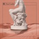 Hidden Beauty Single